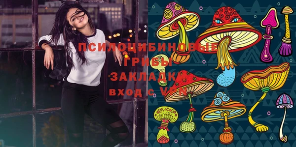Альфа ПВП Надым